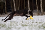04 Der erste Schnee